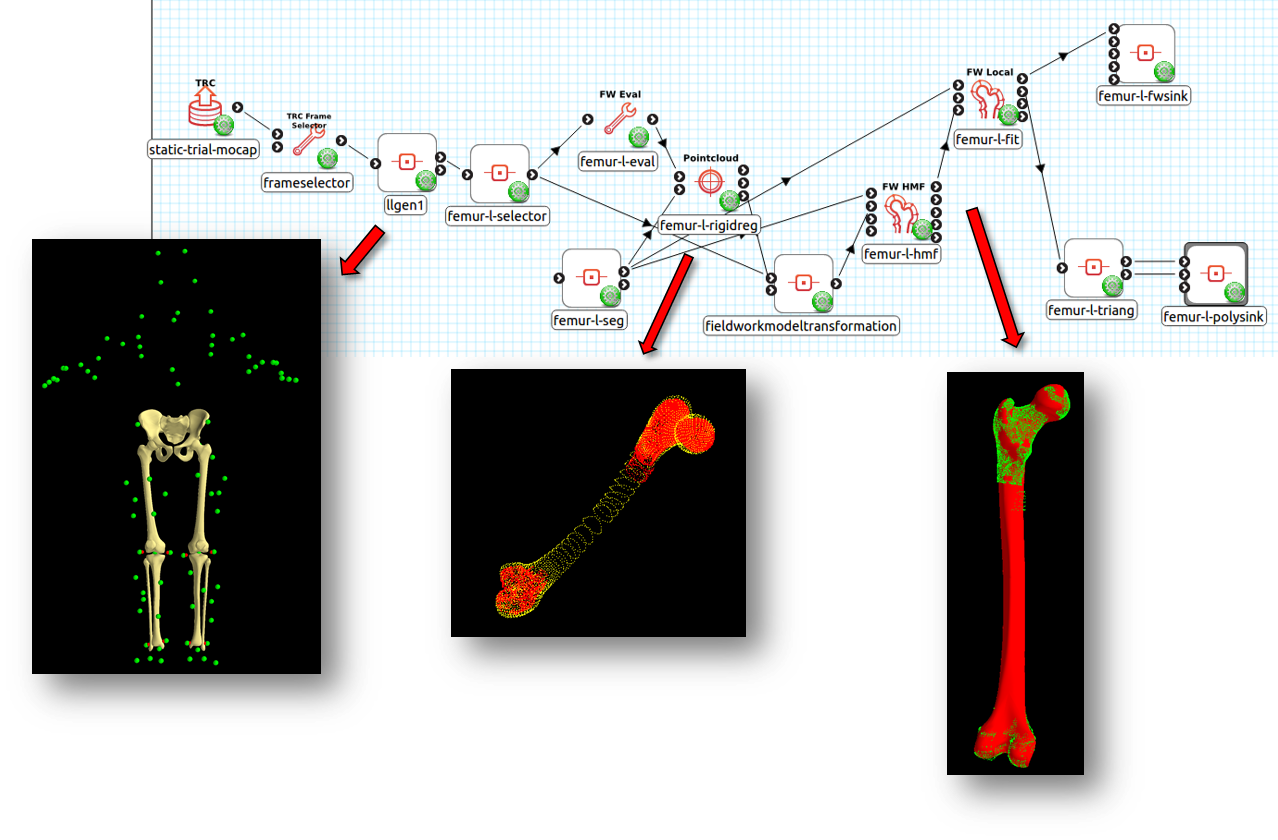 _images/workflow_femur_fit_with_plugins.png